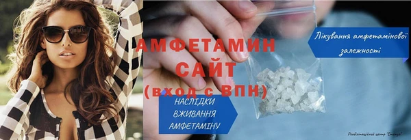 амф Горняк