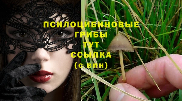 амф Горняк