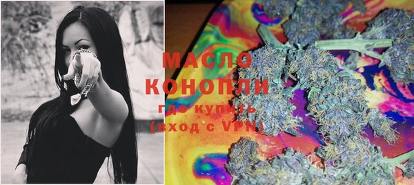 амф Горняк