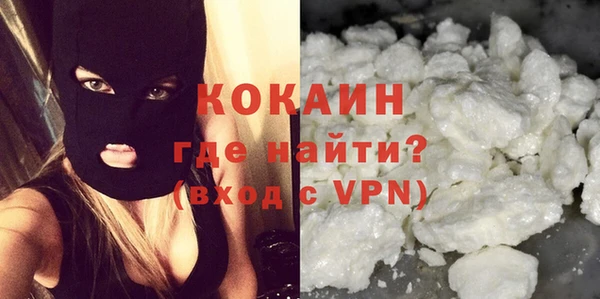 амф Горняк