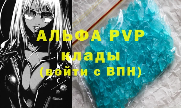 амф Горняк